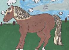 Kresba koně